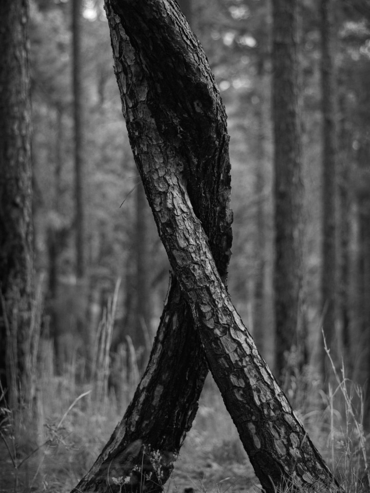 The Embrace- Black and White