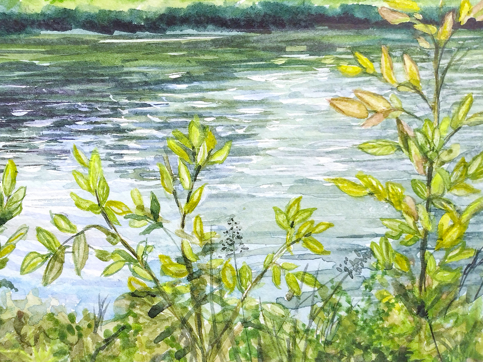 Aeraland Pond