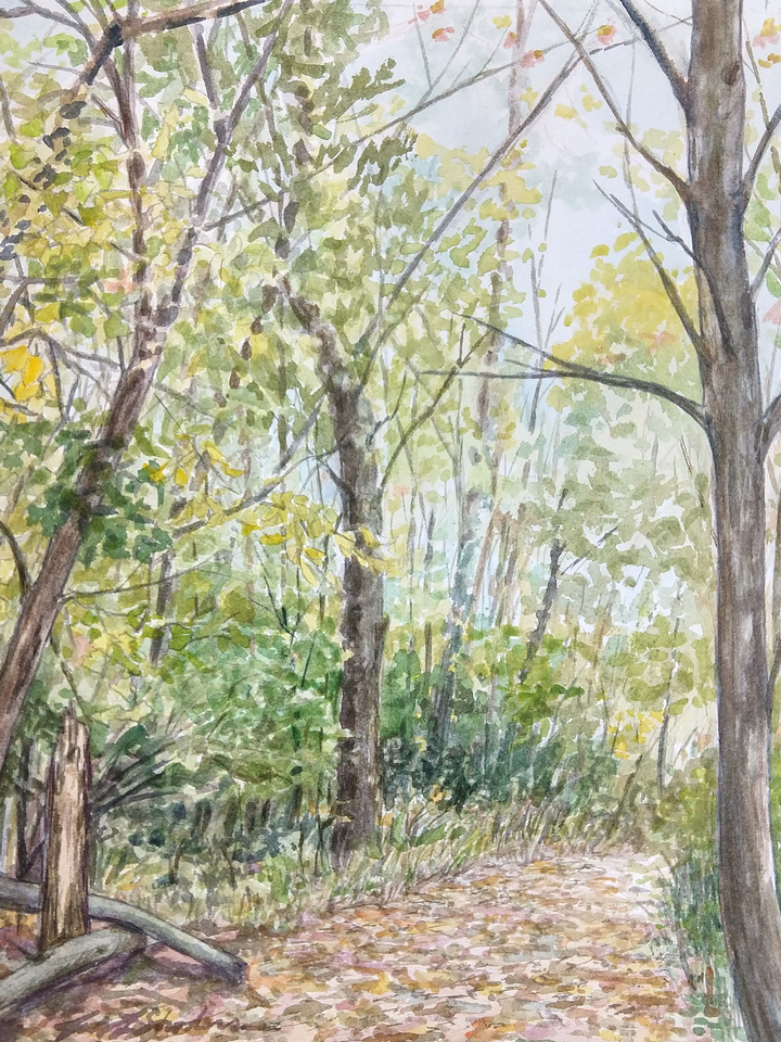 Camp Berry Trail