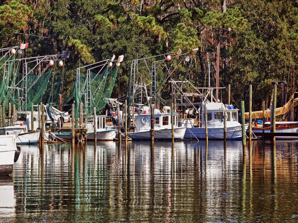 Fishing Fleet Reflection – Southern Coastal Harbor
