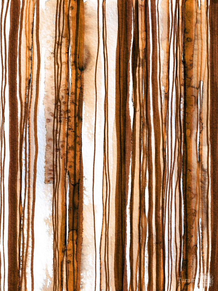 WABI SABI 2/3 ORANGE RUST BROWN - WATERCOLOR LINES