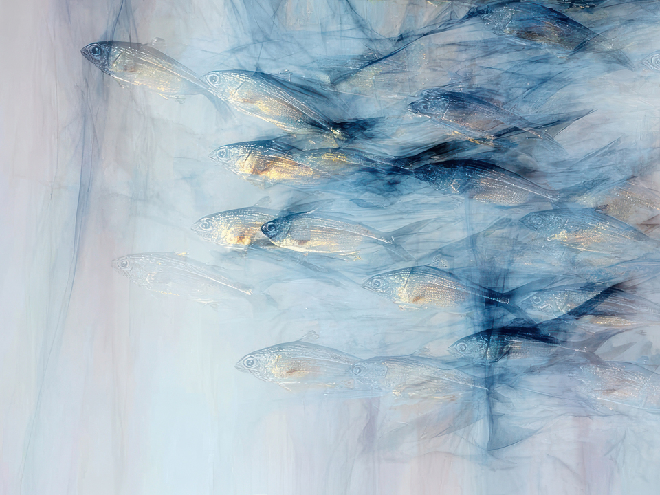 Flow of Light-4