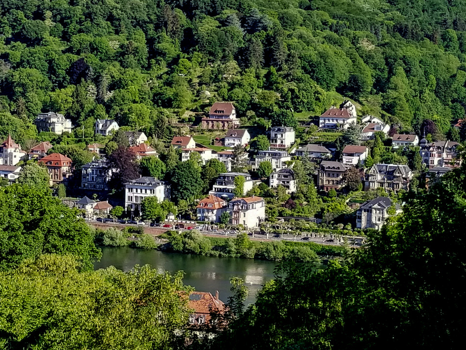 Baden-Rhine4