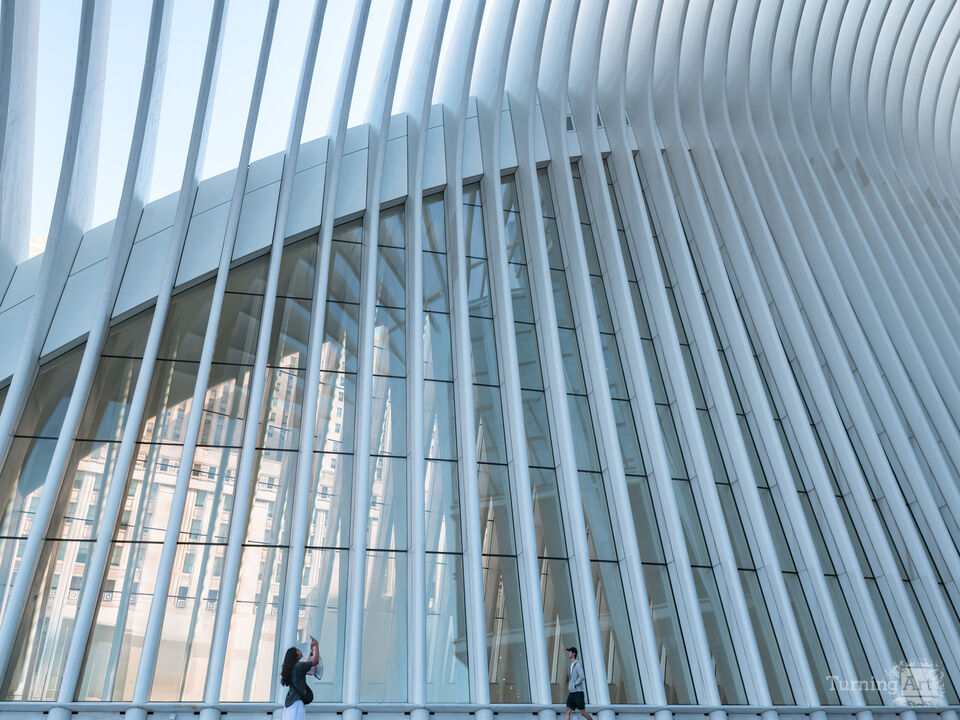 The Oculus