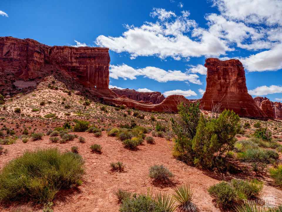 Utah's Park Avenue Landscape