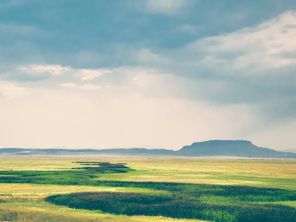 Meadow at Square Butte