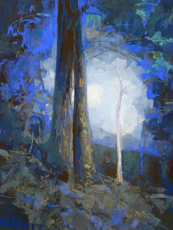 Moonlight's Glow