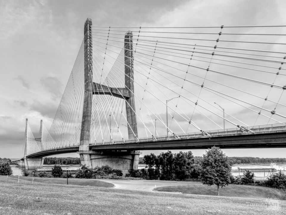Cape Girardeau Bill Emerson View Grayscale