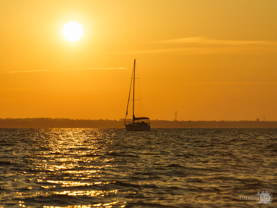 Sailboat In A Sea of Gold
