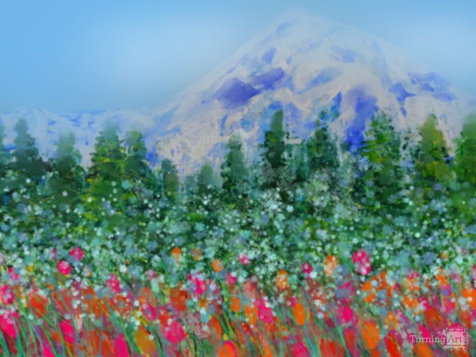 Mount Rainier National Park