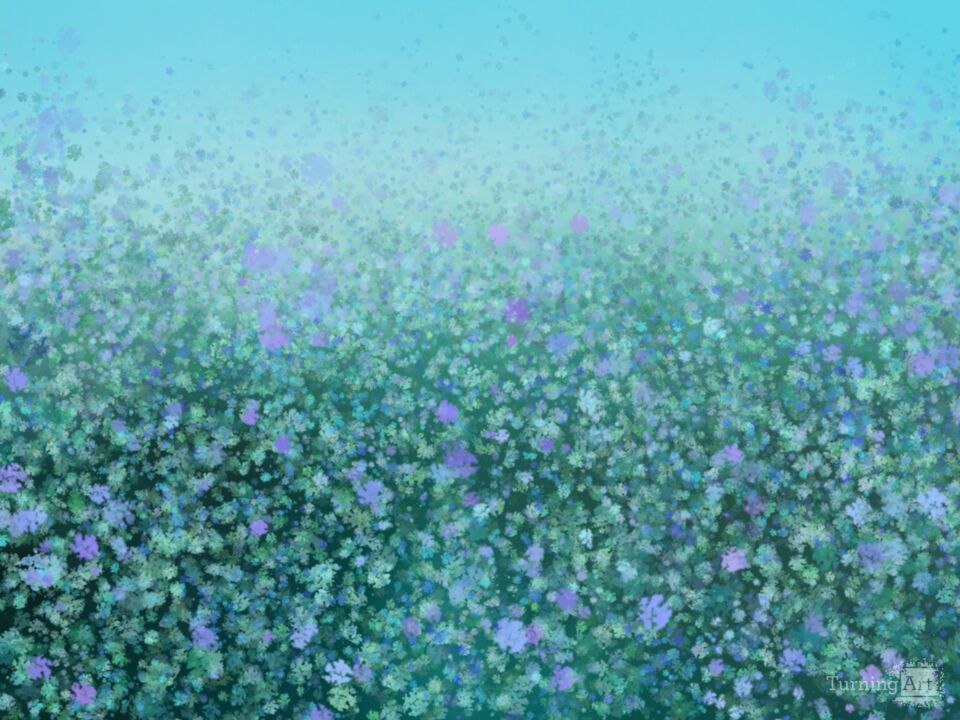 Wildflowers 