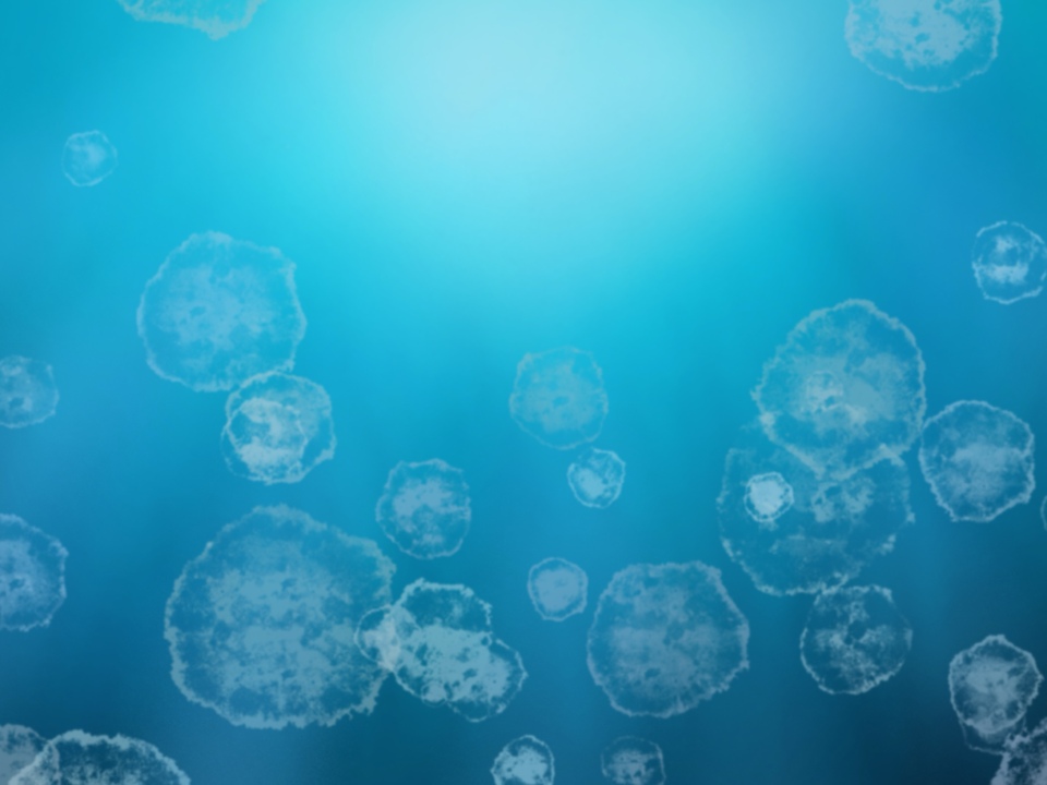 Deep Ocean Jellyfish