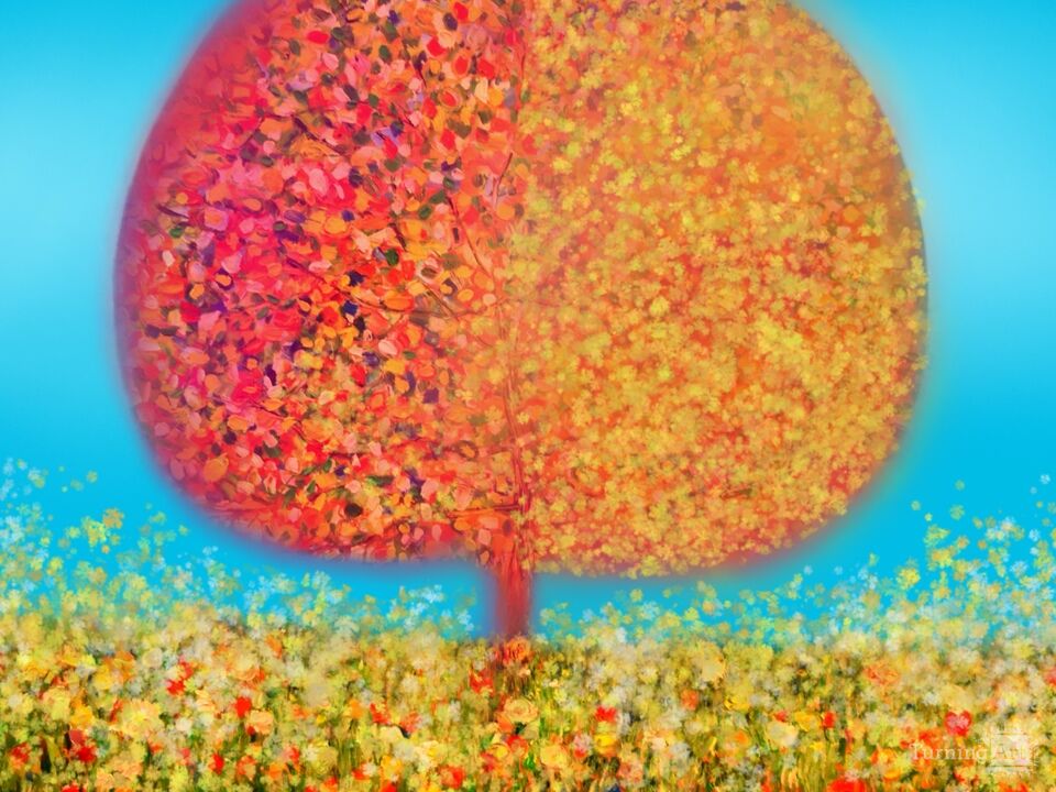 Autumn Tree 