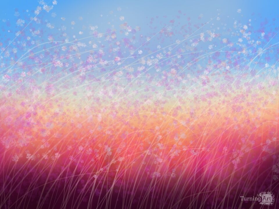 Field with Pink and White Flowers 