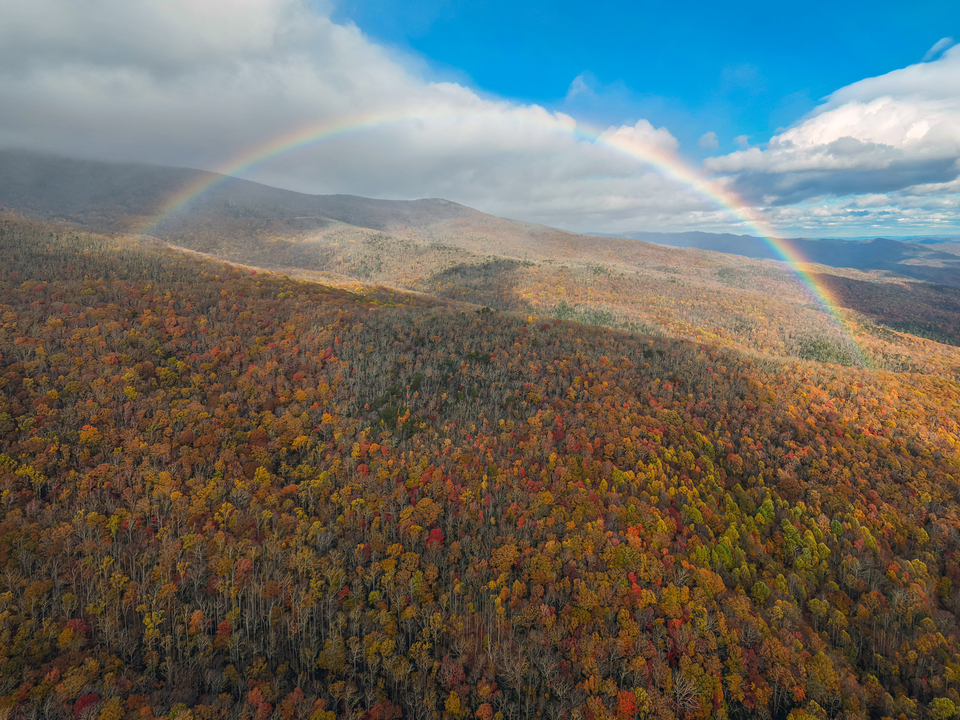 RAINBOW