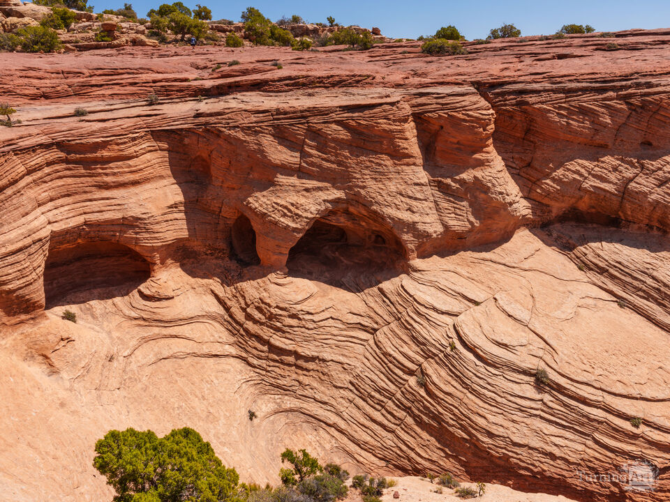 Alcove Grouping Canyon de Chelly