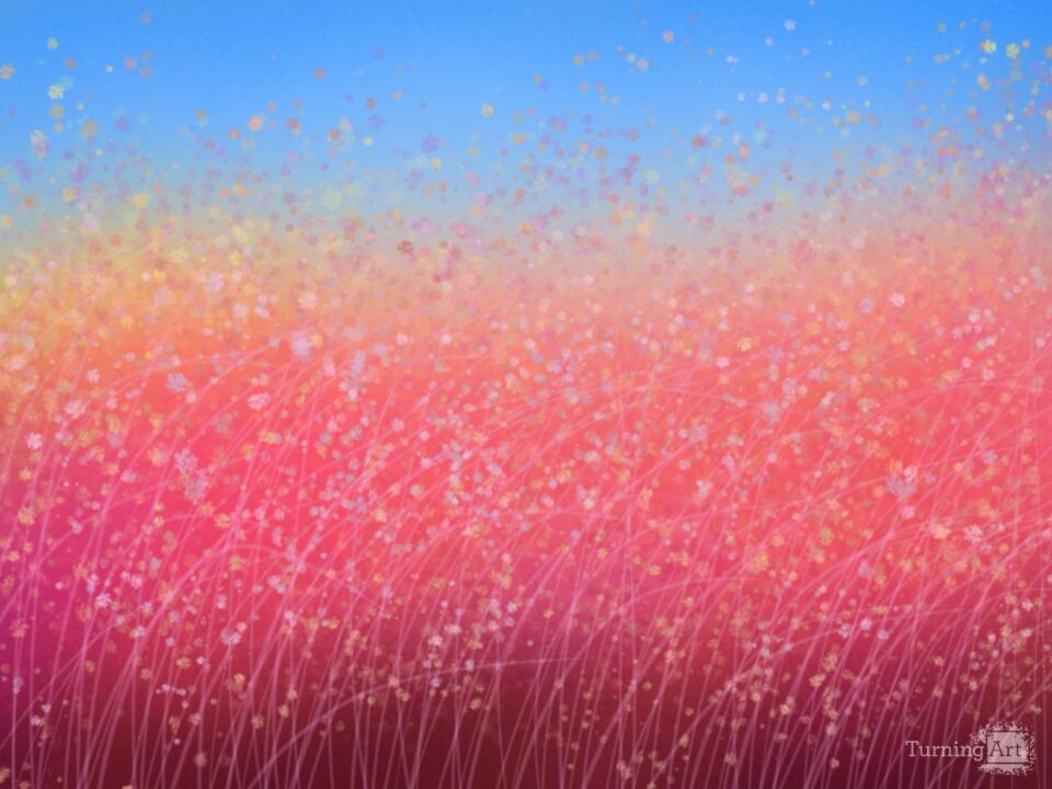 Wildflower Meadow 