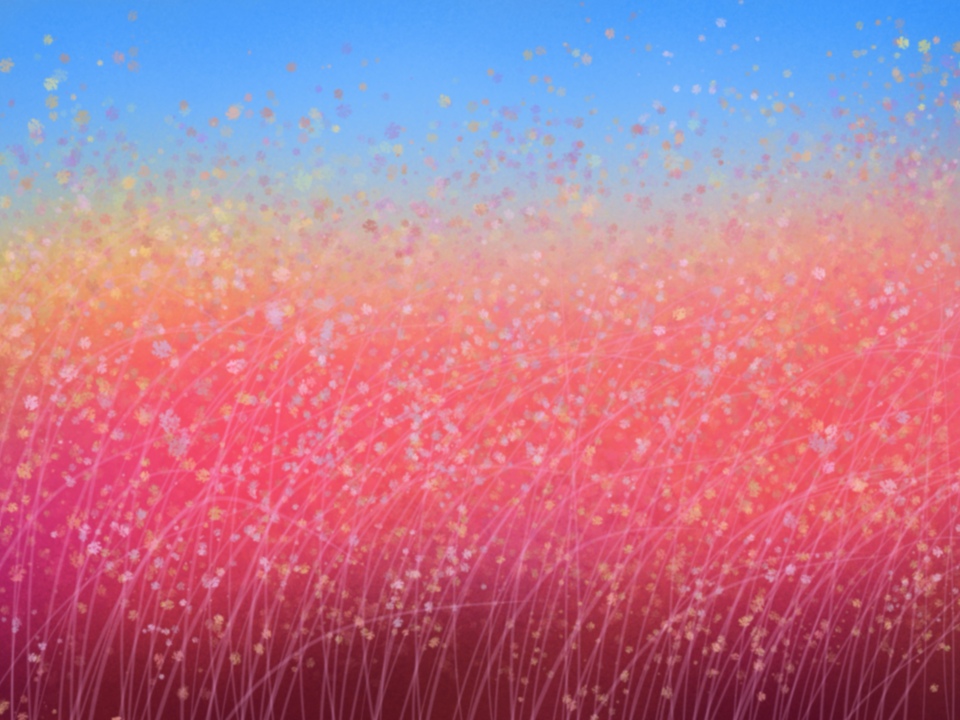 Wildflower Meadow 