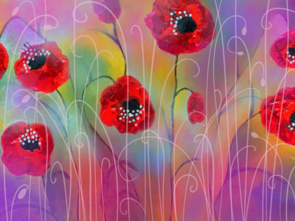 Poppies 