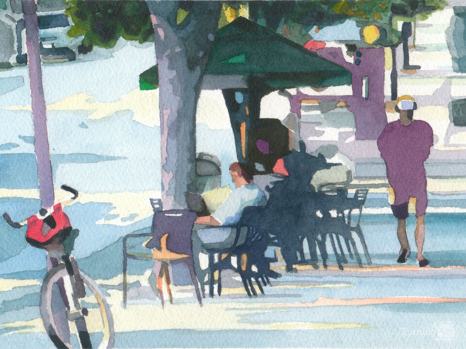 Summer Evening Shadows