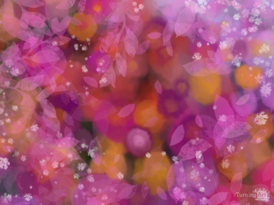 Spring,Summer,Autumn,Winter 