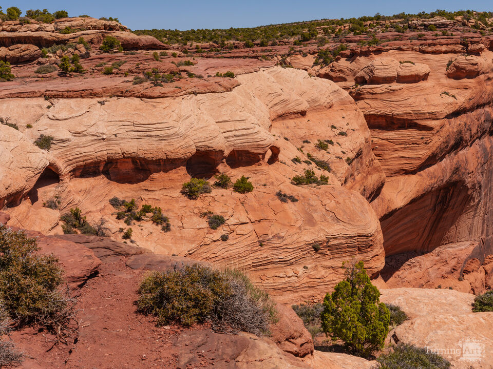 Navajo Fortress Alcoves