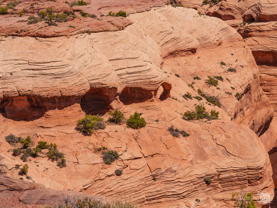 Canyon de Chelly Cliffside Alcoves