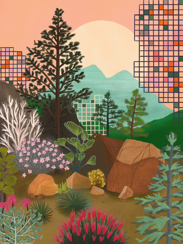 Mountain Vision 2