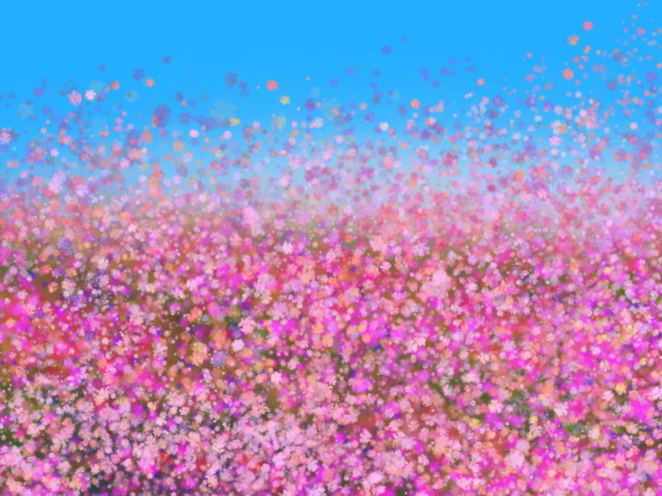 Wildflowers Meadow 