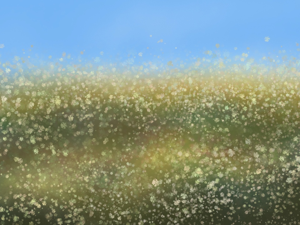 Summer Wildflower Meadow 