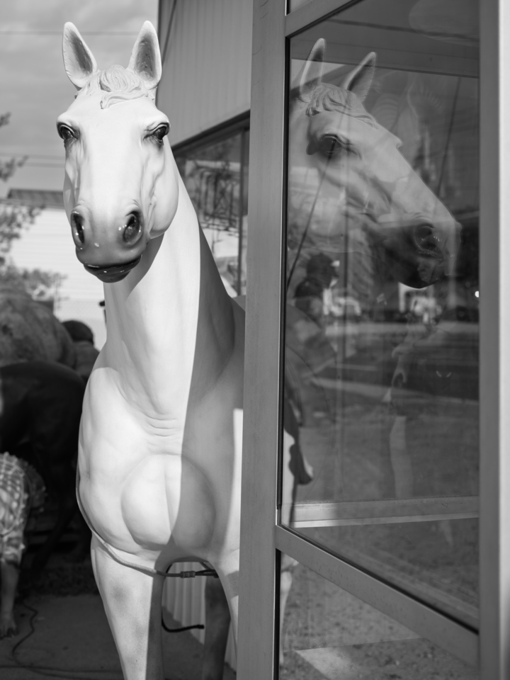 Horse Call
