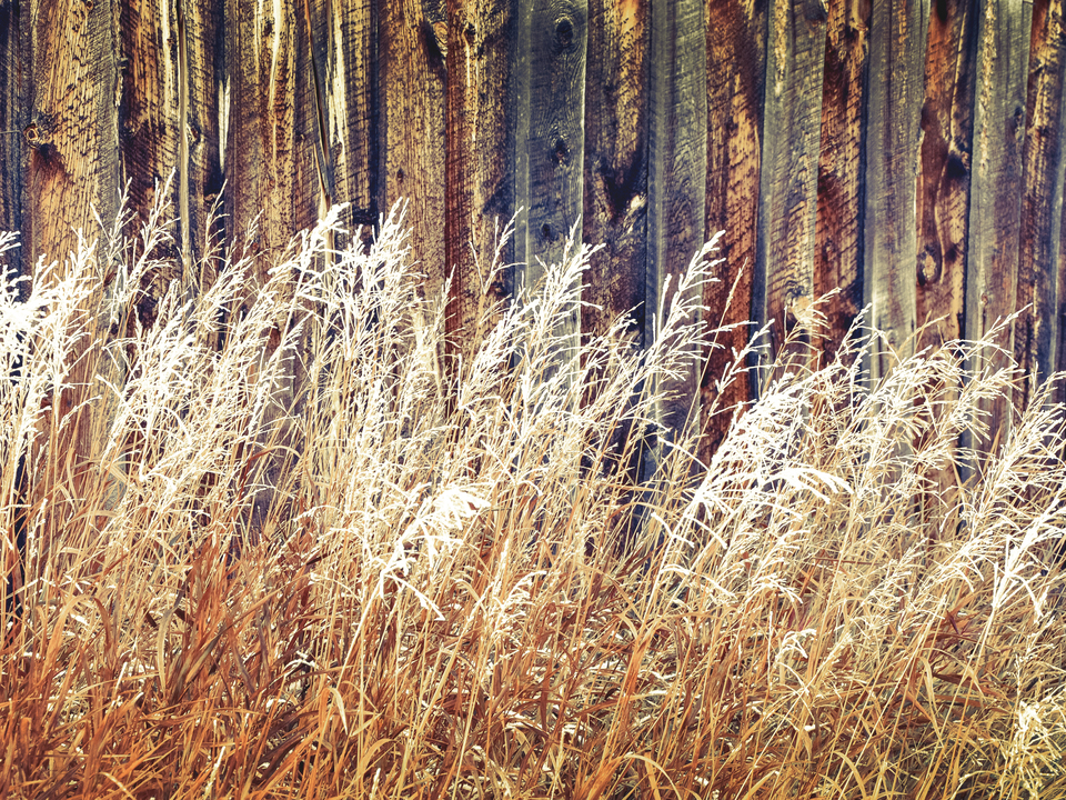 Against the Grain