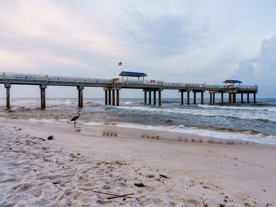 Blue Heron Fishing By Orange Beach Pier