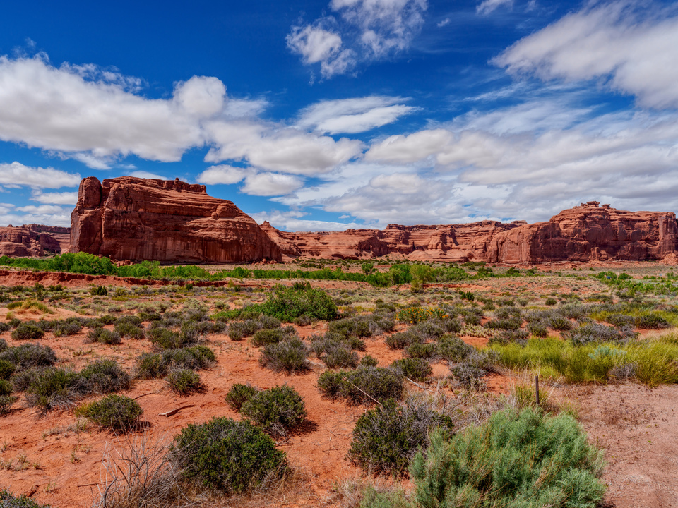 Arches Landscape View At Courthouse Towers