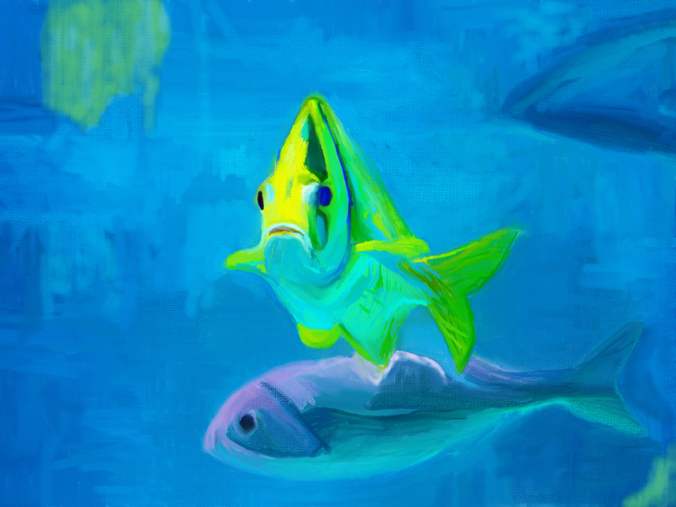 Aquariu Fish Head On