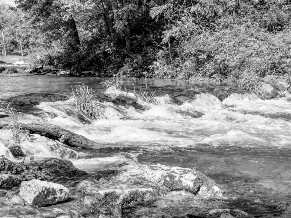 White Cascades Along Roaring River Grayscale