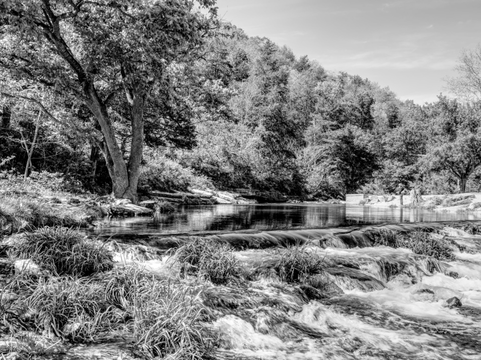 Spring Calm At Roaring River Grayscale