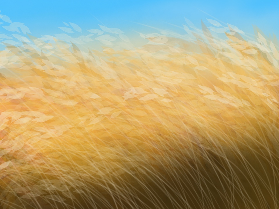 Golden Field 