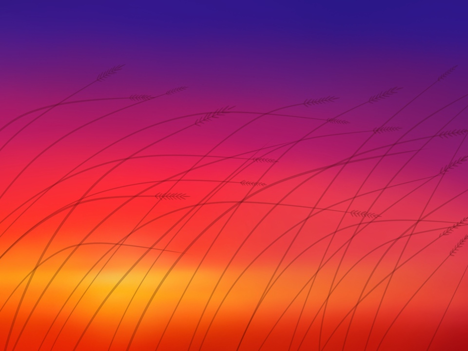 Sunset over Wheatgrass 