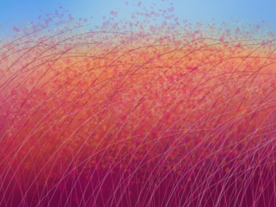 Vibrant Wildflower Meadow 