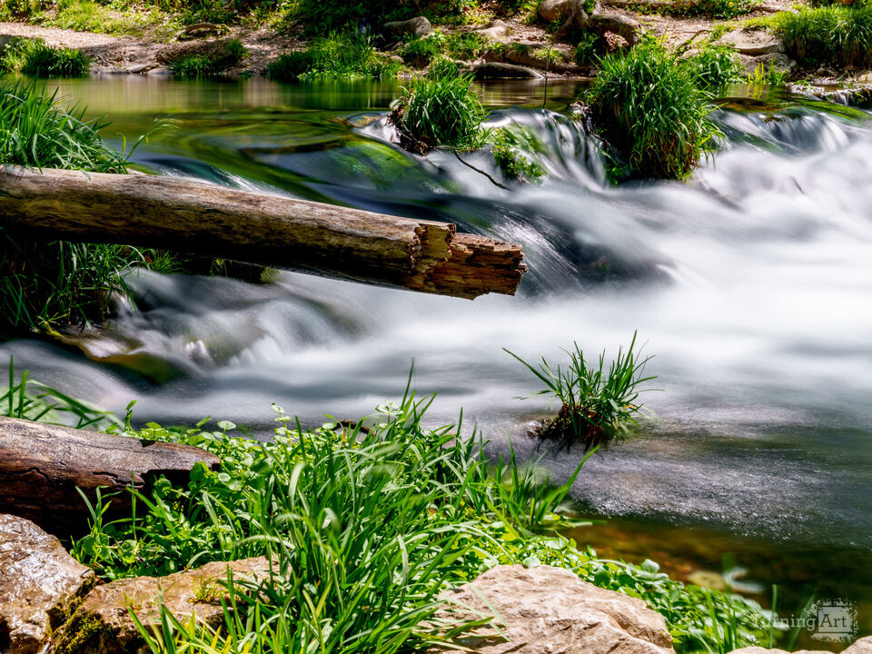 Log By Falls Roaring River State Park