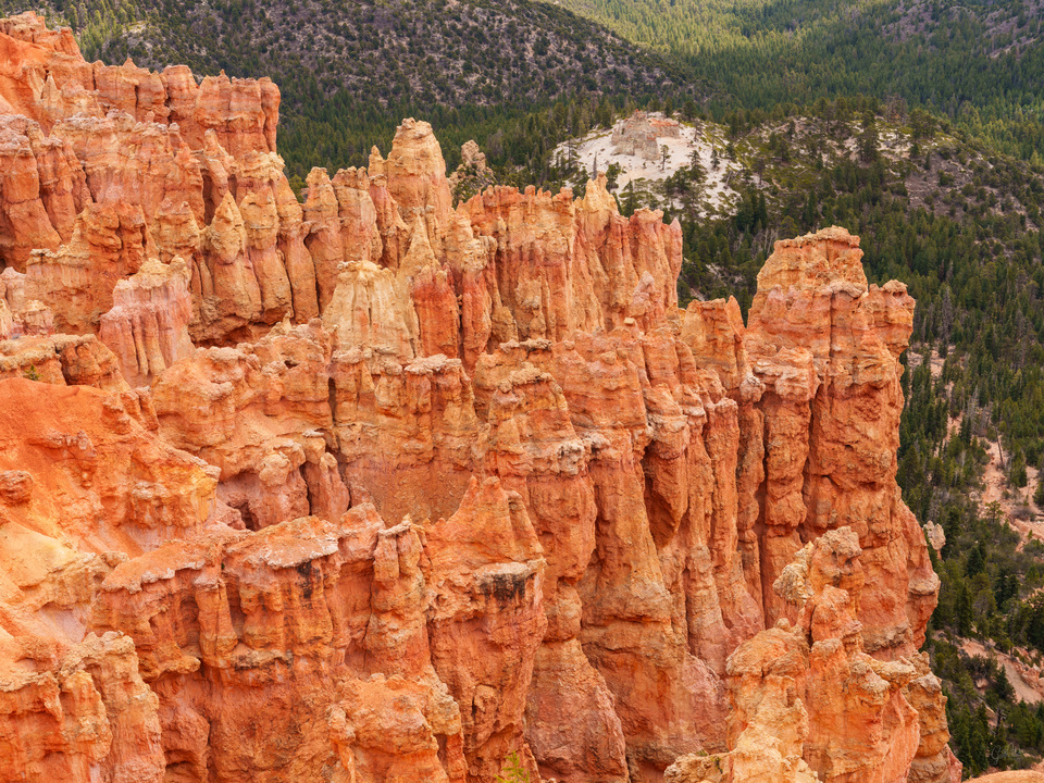 Hoodoos At Ponderosa Point Bryce Canyon