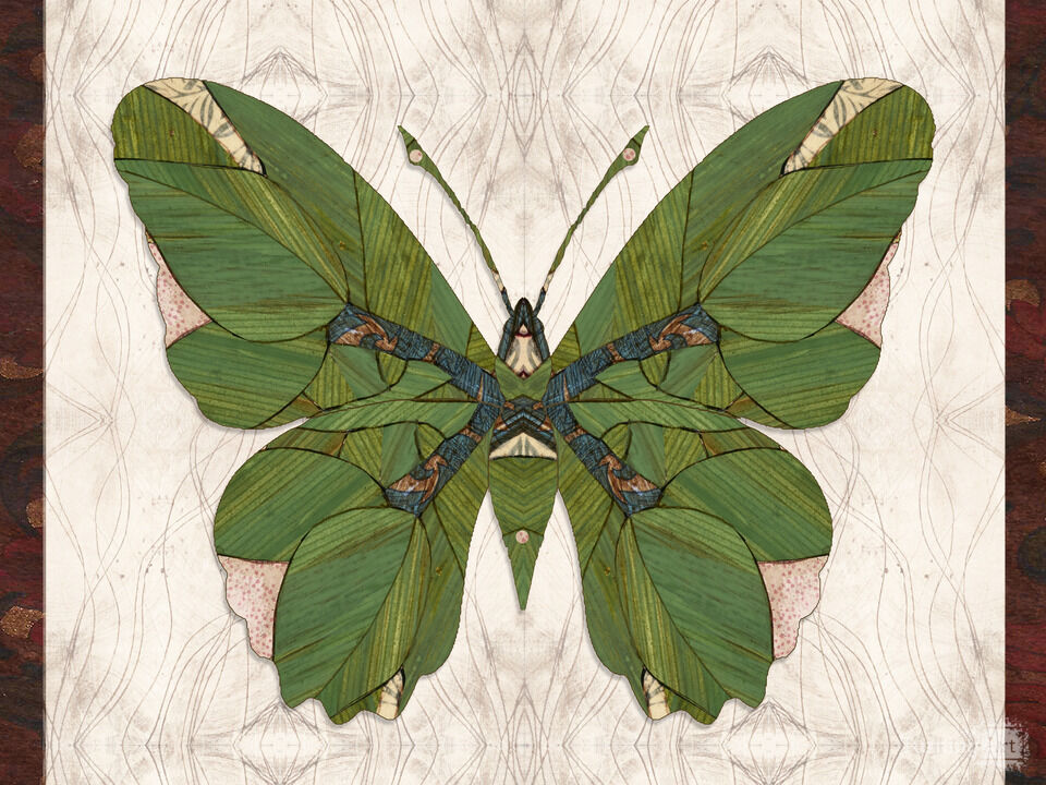 Passionflower Butterfly