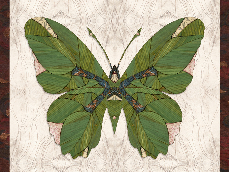 Passionflower Butterfly