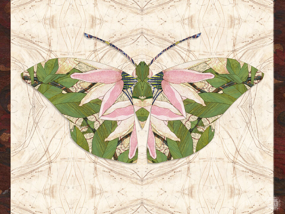 Passionflower Butterfly 2