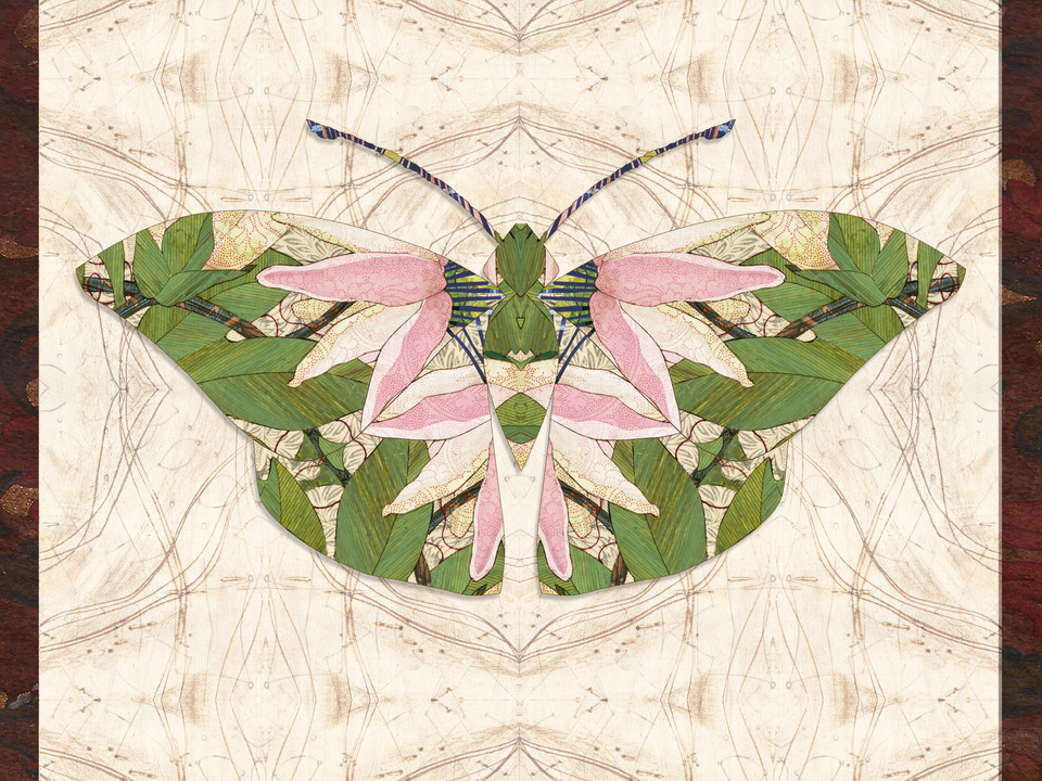 Passionflower Butterfly 2