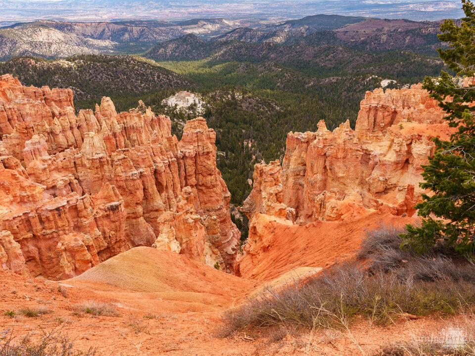 Ponderosa Point Bryce Canyon