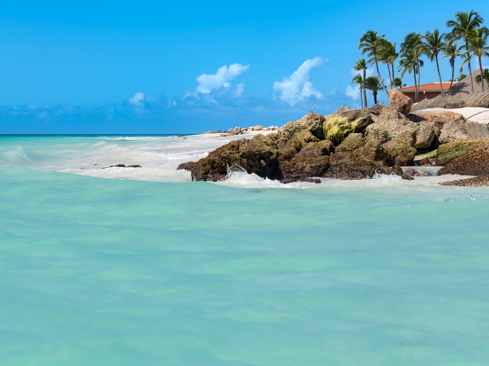 Divi Beach in Aruba