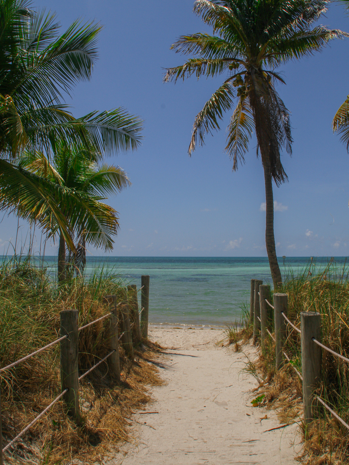 Palm Path to Key West Shore