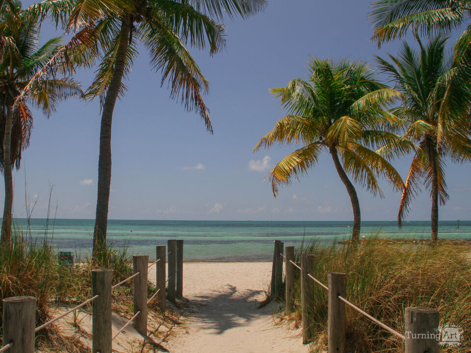 Tropical Key West Beach Scene
